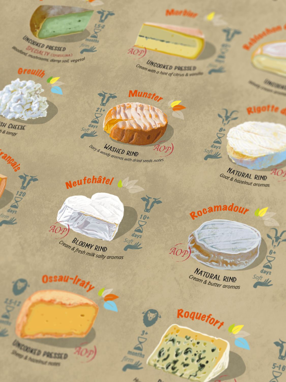 Water and Wines France Cheese Puzzle