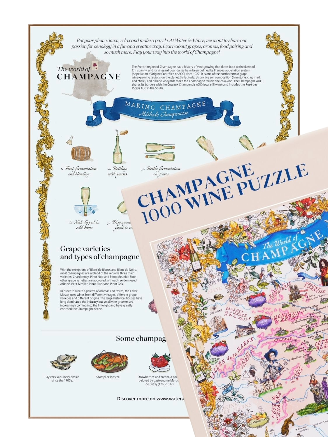 Water and Wines Champagne Puzzle